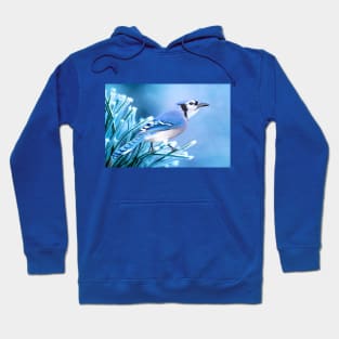 Blue Jay on One Frosty Morning Hoodie